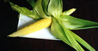Fresh corn from roadside stand.
