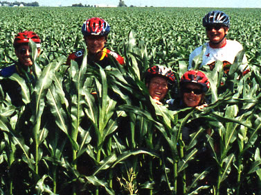 Riders hiding in cornfield.