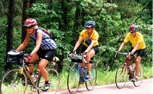 Three cyclists.  Gunnel in lead.